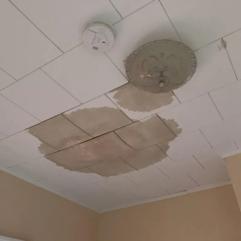 Ceiling Water Damage Repair in Fullerton, NE