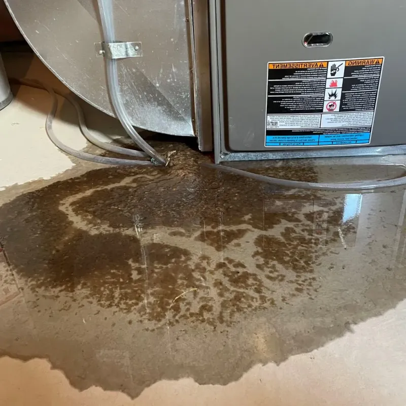 Pipe Burst and Leak Restoration in Fullerton, NE