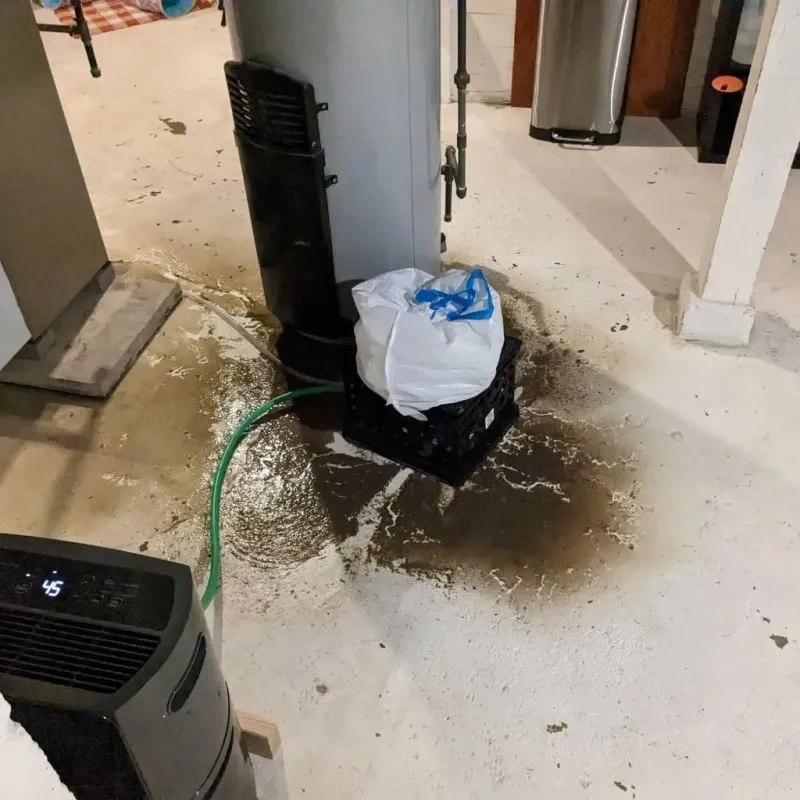 Sewage Backup Cleanup Service in Fullerton, NE